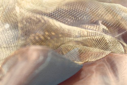 Net in het licht - structuur en zachtheid in een warme tint