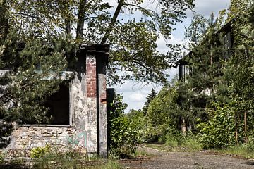 38 van Frank Herrmann