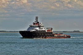 Kolga von Henk Noevers