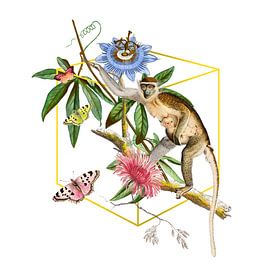 a Monkey Business Collage von Marja van den Hurk