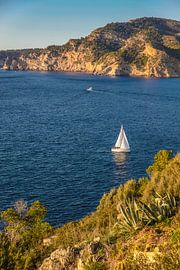Boot in der Bucht von Port d`Andratx, Mallorca