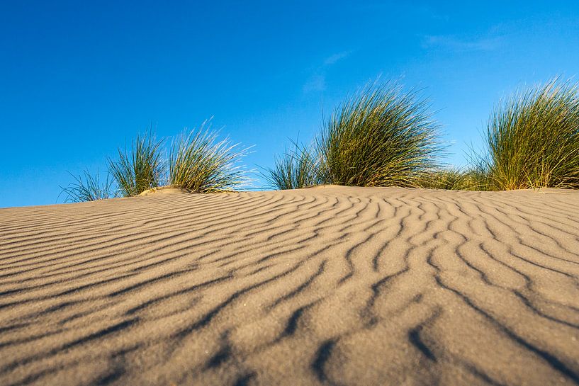 Motifs de sable de dune avec de l'herbe de marbre par Beschermingswerk voor aan uw muur