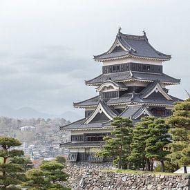 Matsumoto kasteel van Armin Palavra