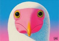 Guckguck Guckguck