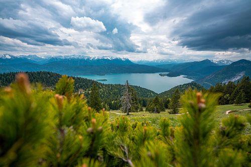 Uitzicht over de Walchensee