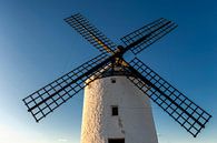 Historische windmolen van Don Quichot, in La Mancha (Spanje). van Carlos Charlez thumbnail