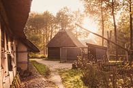 Herbst von Nancy van Verseveld Miniaturansicht