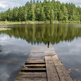 Verlassene Gerüste in Estland von Manon Verijdt