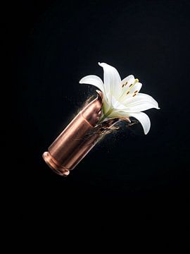 Der Artikel spiegelt wider von Dedy Ajad Setiawan