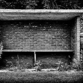 Dug-out van steen met onkruid van Han Balk