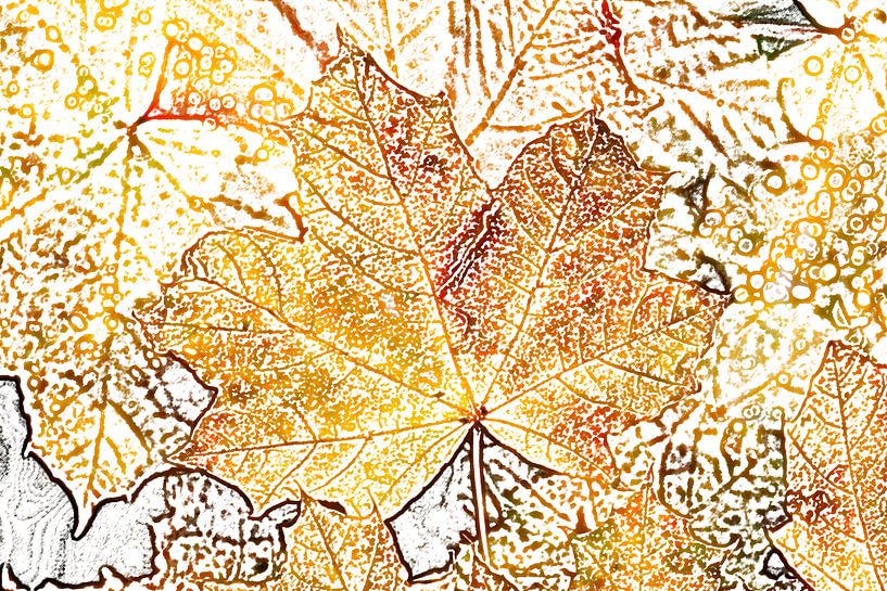 Kleurrijk esdoornblad in de herfst, abstract van Torsten Krüger