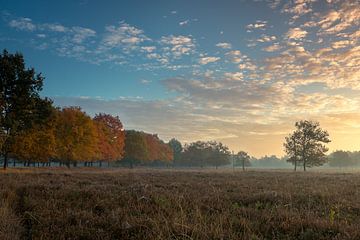 Herfsttooi by Boris de Weijer