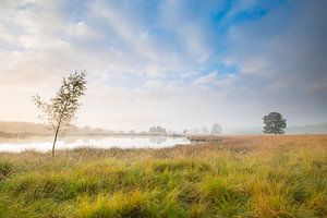 Lever de soleil à Drenthe sur Mark van der Walle