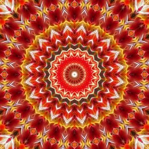 Mandala India Summer