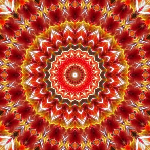 Mandala Inde été