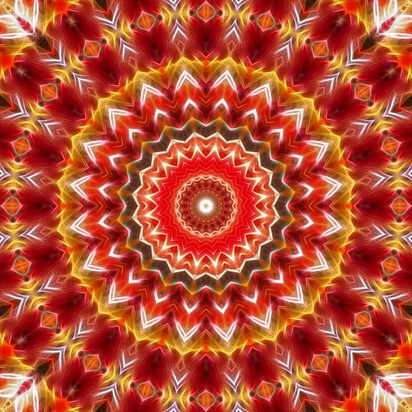 Mandala India Summer by Marion Tenbergen