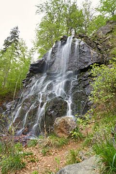 Radau waterval in het Harz gebergte