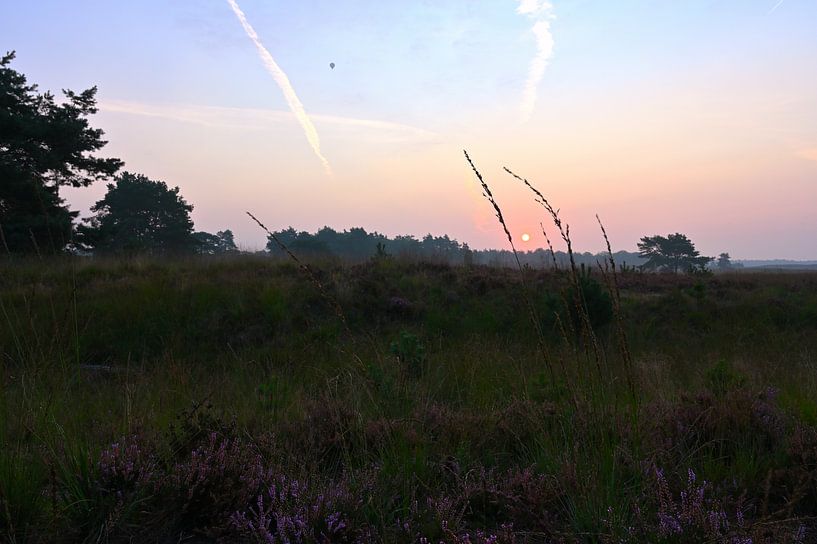 Sonnenaufgang in der Asselse Heide von Wiljo van Essen