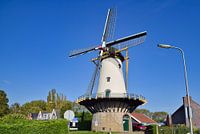 Molen