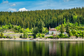 Een uitzicht op de Schluchsee in het Zwarte Woud in Duitsland