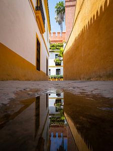 Warme Farben in einer Gasse in Sevilla | Reisefotografie Spanien von Teun Janssen
