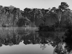 Autumn in Oisterwijk black and white