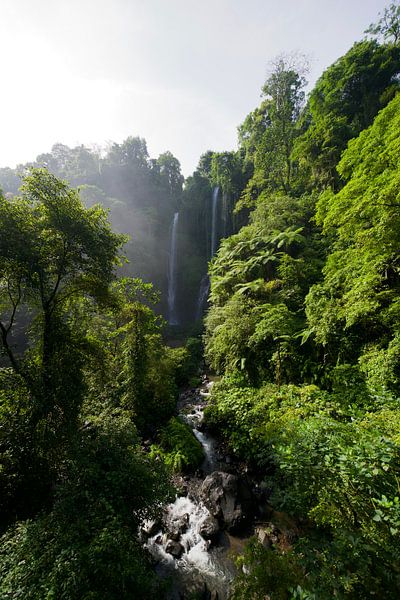 Bali by David Blok