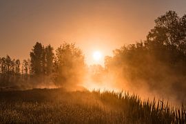 Orange morning in the fog. by Els Oomis