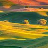 L'heure d'or dans le Palouse américain sur Adelheid Smitt