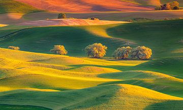 Gouden uur in de Amerikaanse Palouse van Adelheid Smitt