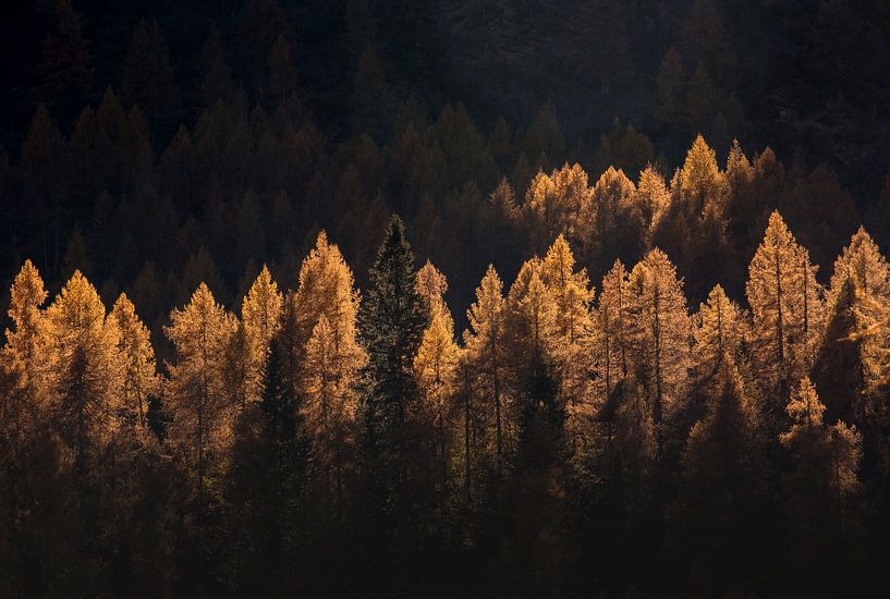 light for a few by Michel Manzoni