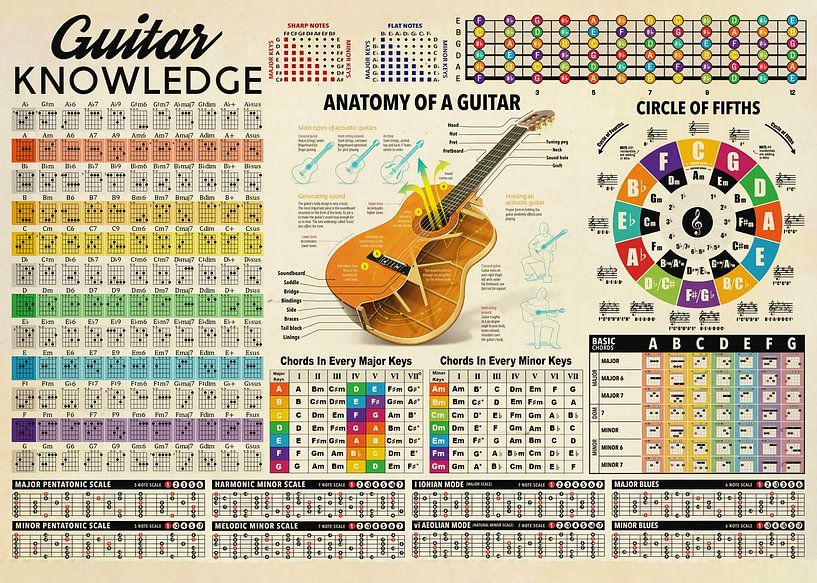 Guitar Knowledge by Steven Kingsbury