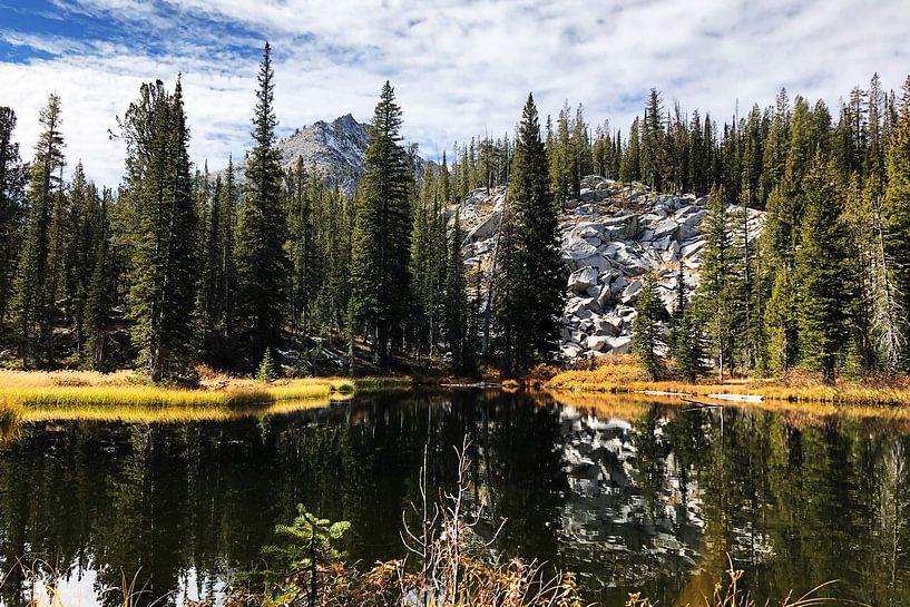 River Spot by Walljar