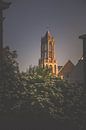 Evening light on the belfry (Domtoren, Utrecht) par Alessia Peviani Aperçu