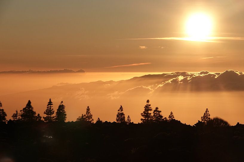 Sonnenuntergang auf dem Teide von Marianne van den Bogaerdt