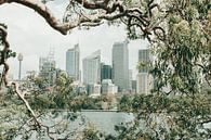 Blick auf die Skyline von Sydney von Reis Genie Miniaturansicht