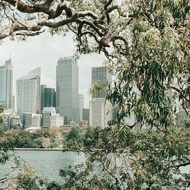 Uitzicht op de skyline van Sydney van Reis Genie