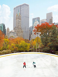 Hockey in New York