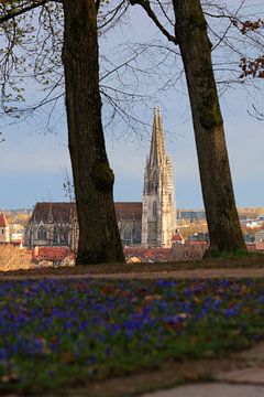 Uitzicht op Regensburg