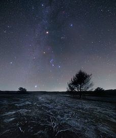 Orion in einer kalten Herbstnacht! von Corné Ouwehand