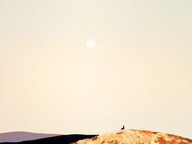 Minimalist Landscape with Sun and Silhouette by Thea