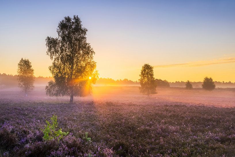 atmospheric moorland by Daniela Beyer