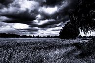 landschap zwart wit dreigende lucht van Frank Ketelaar thumbnail