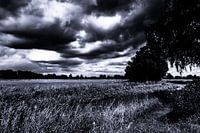 landschap zwart wit dreigende lucht