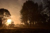 Dorpje in de mist...