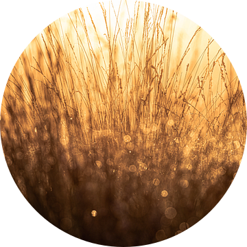 Terletse heide part 10