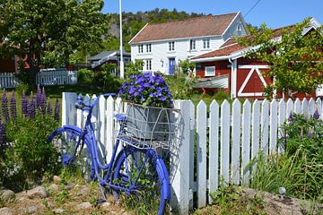 Rood huisje in Noorwegen met wit hek, blauwe fiets en bloemen