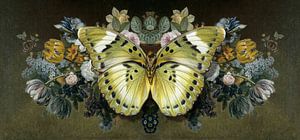Still Life with Butterfly