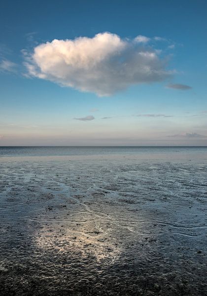 Wolkje par Harrie Muis