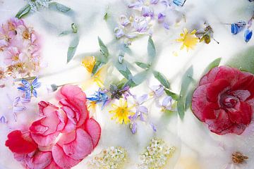 In Eis gefrorene Blumen von Becky B. Photography Netherlands